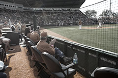 Dugout Suites